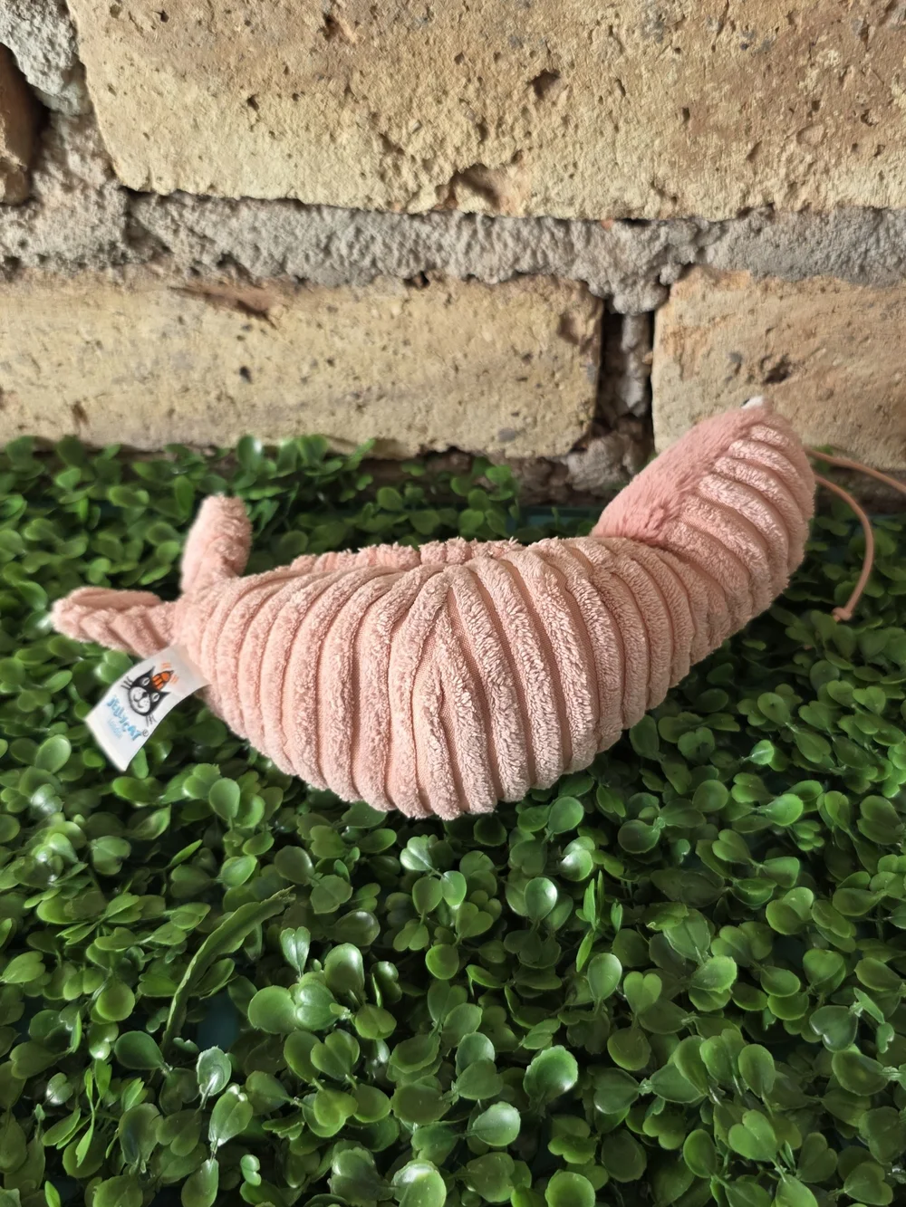 Jellycat ​adorable hard